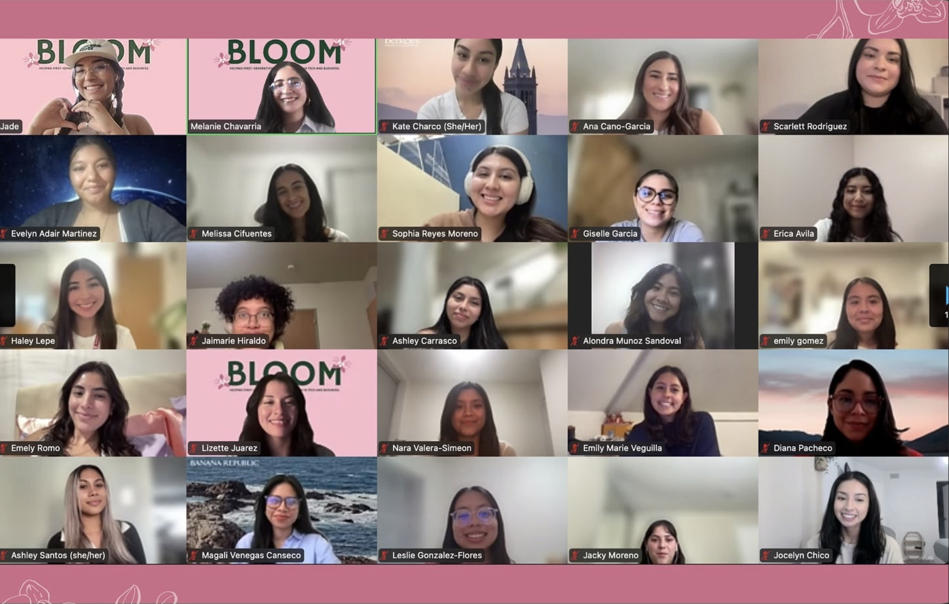 Our mentorship approach - Zoom call photo